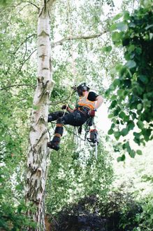 a man climbing a tree with chainsaw