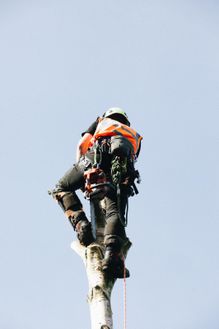 a man climbing